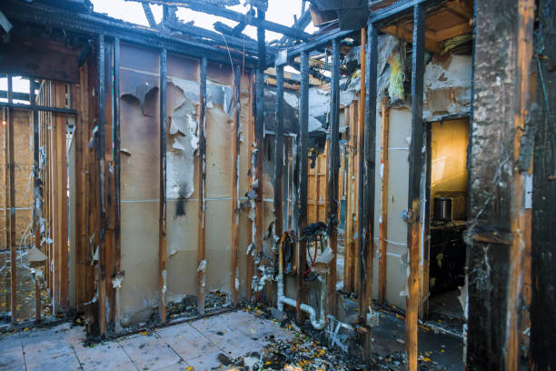 Professional Fire Damage Removal technician working in Montrose, MN