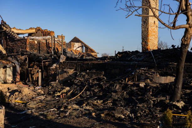 Reliable Fire Damage Removal contractor in Montrose, MN by Fire Damage Doption
