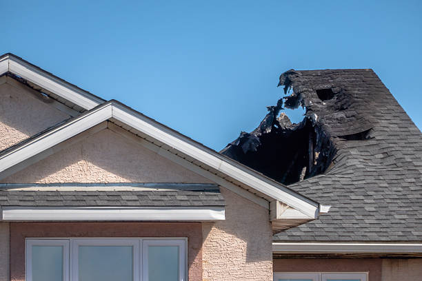 Top rated local Fire Damage Removal specialists in Montrose, MN